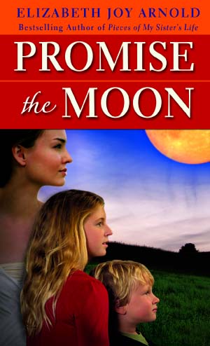 Promise Cover